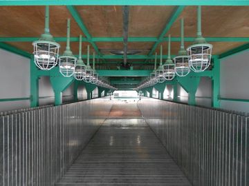De flexibele Productielijn van het Matrasschuim met PLC Controle, 50Kg/m ³